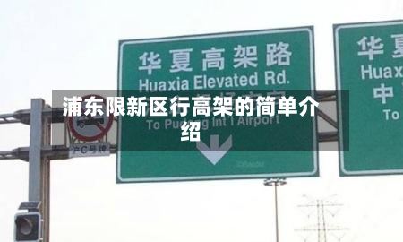 浦东限新区行高架的简单介绍-第3张图片