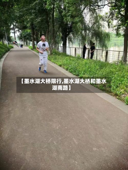 【墨水湖大桥限行,墨水湖大桥和墨水湖南路】