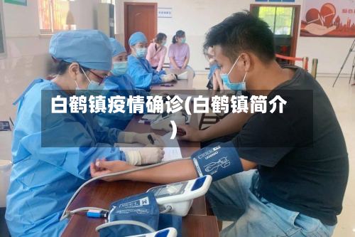 白鹤镇疫情确诊(白鹤镇简介)-第2张图片