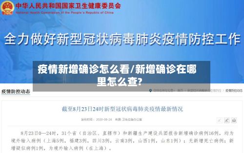 疫情新增确诊怎么看/新增确诊在哪里怎么查?-第2张图片
