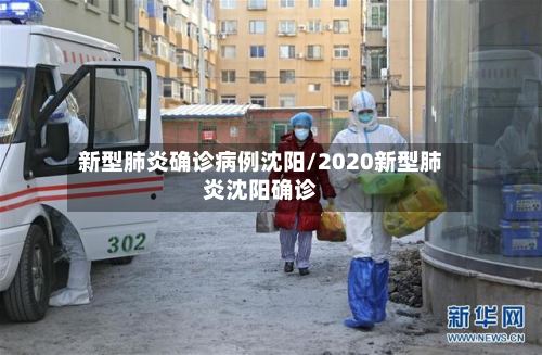 新型肺炎确诊病例沈阳/2020新型肺炎沈阳确诊-第3张图片