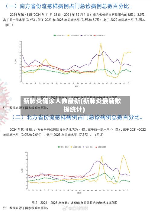 新肺炎确诊人数最新(新肺炎最新数据统计)