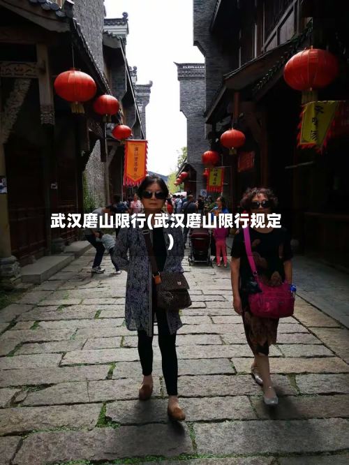 武汉磨山限行(武汉磨山限行规定)-第2张图片