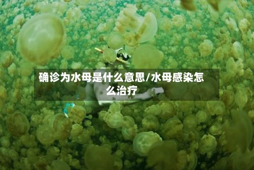 确诊为水母是什么意思/水母感染怎么治疗-第2张图片