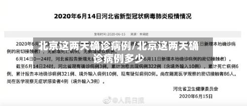 北京这两天确诊病例/北京这两天确诊病例多少