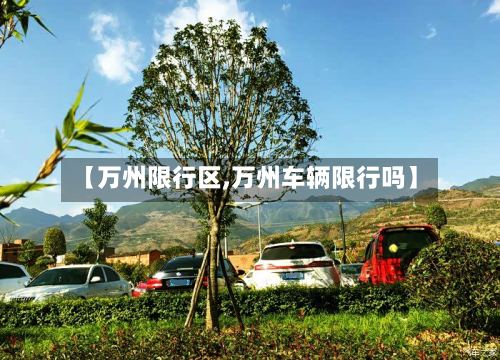 【万州限行区,万州车辆限行吗】