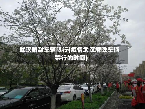 武汉解封车辆限行(疫情武汉解除车辆禁行的时间)