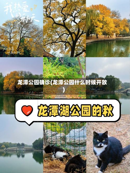 龙潭公园确诊(龙潭公园什么时候开放)-第2张图片