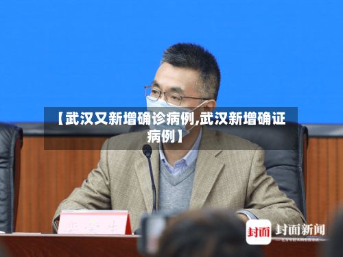 【武汉又新增确诊病例,武汉新增确证病例】