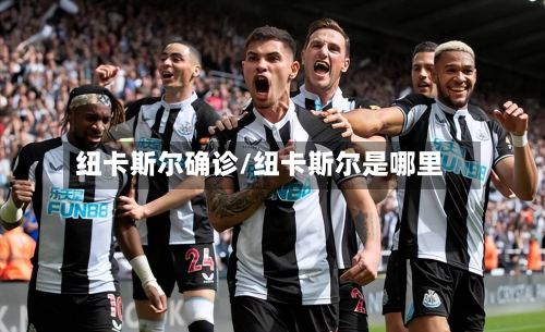 纽卡斯尔确诊/纽卡斯尔是哪里