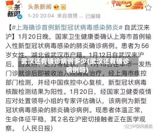 武汉还有确诊病例多少(武汉还有确诊病例吗)