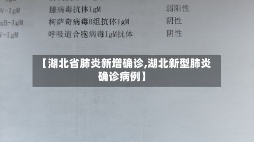 【湖北省肺炎新增确诊,湖北新型肺炎确诊病例】-第2张图片