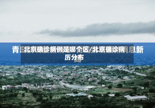 北京确诊病例是哪个区/北京确诊病历分布
