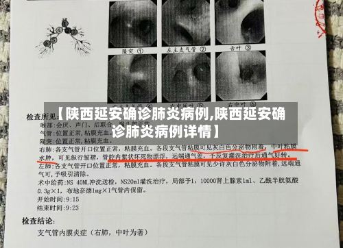 【陕西延安确诊肺炎病例,陕西延安确诊肺炎病例详情】