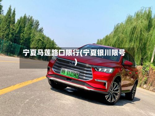 宁夏马莲路口限行(宁夏银川限号)-第2张图片