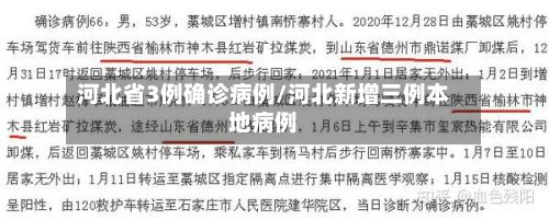 河北省3例确诊病例/河北新增三例本地病例