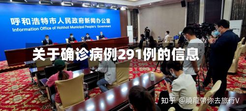 关于确诊病例291例的信息-第2张图片
