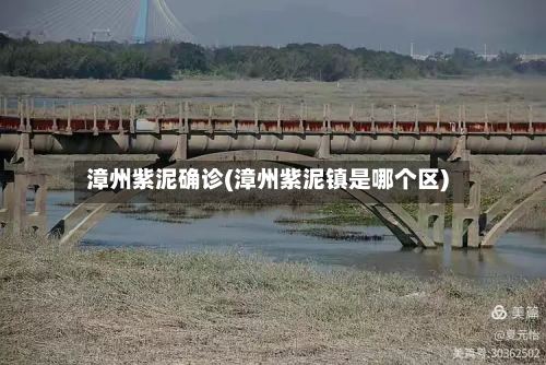 漳州紫泥确诊(漳州紫泥镇是哪个区)