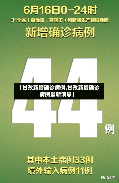 【甘孜新增确诊病例,甘孜新增确诊病例最新消息】-第3张图片