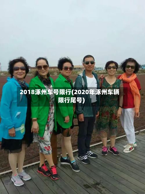 2018涿州车号限行(2020年涿州车辆限行尾号)-第2张图片