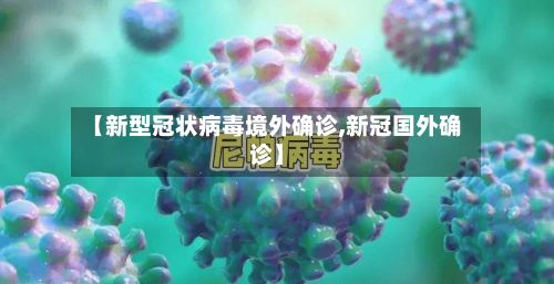 【新型冠状病毒境外确诊,新冠国外确诊】-第3张图片
