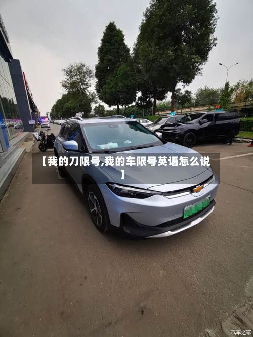 【我的刀限号,我的车限号英语怎么说】-第2张图片