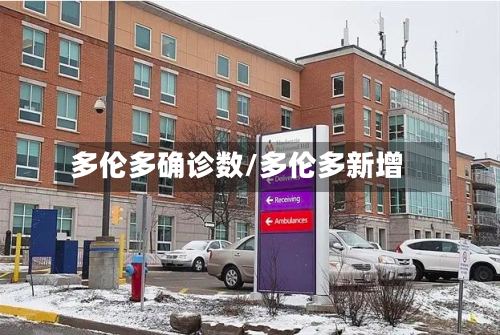 多伦多确诊数/多伦多新增