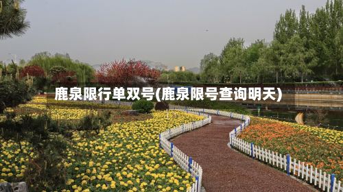 鹿泉限行单双号(鹿泉限号查询明天)-第2张图片