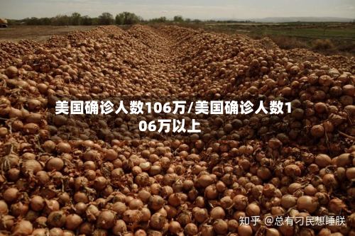 美国确诊人数106万/美国确诊人数106万以上