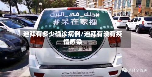 迪拜有多少确诊病例/迪拜有没有疫情感染-第2张图片