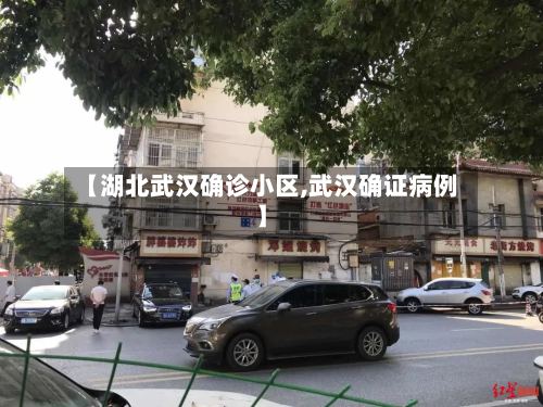 【湖北武汉确诊小区,武汉确证病例】